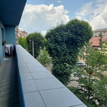 Apartament Very Big Daire Bistriţa Dış mekan fotoğraf